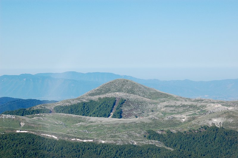 DSC_6291.jpg