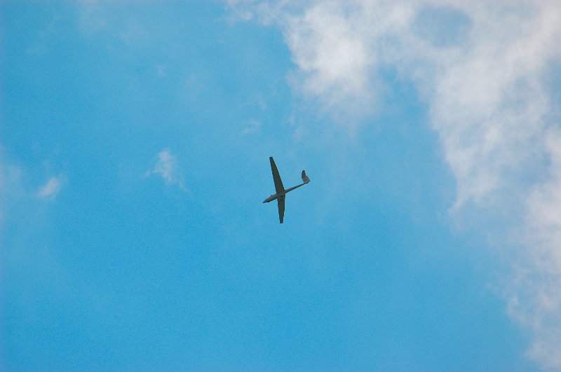 DSC_4914.JPG - Anche lui non si fà mancare nulla in volo