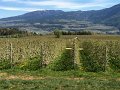 IMG_4347