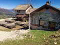 IMG_4351