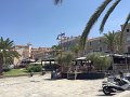 IMG_7964