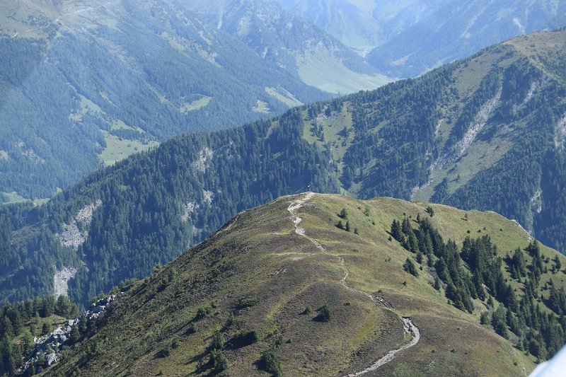 DSC_0039.jpg