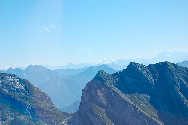 DSC_2447.JPG