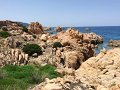 IMG_7456